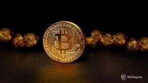 guartar bitcoin en frio