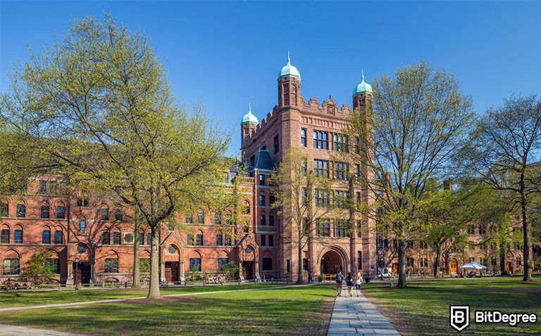 Best Yale Online Courses of 2022 - 7 Options for You to Choose